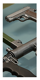 Guns